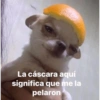 Barbie memes 10