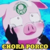 Zoando o Palmeiras  5