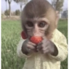 🎀🐵🐈‍⬛ 6