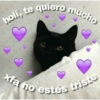 Gatitos 1 22