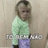 Macaquinhos 5