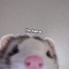 I'm here
