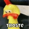 TROSTE