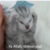 Ya Allah, stressnyaa!