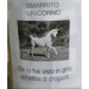 Meme italiani 9