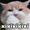 xixixixixi