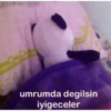 İyi gecelers 14