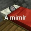 A mimir