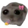 Sad Hamster 11