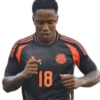 Copa América Colombia 🇨🇴 14
