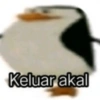 Pinguin 15