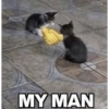 Aaa 13