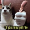 Surtos do dia a dia 13