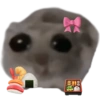 Sad Hamster 5