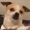 💥Shitpost 42💣 9