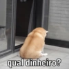 qual dinheiro?