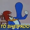 al 17 TO SHEIPADO