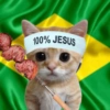 Memes brasil/Copa América  6