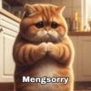Cute Cats 🐱 12