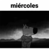 miércoles