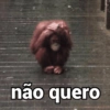 não quero