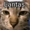 Lantas