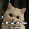 DEBOCHE DE MUITÃO 13