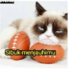 Stiker kucing imut  5