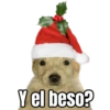 Memes Navideños V1 9