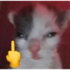 Michisss 😺😹❣️ 10
