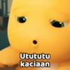 Utututu kaciaan