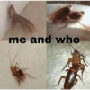 me and who