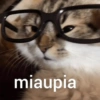 Gatinhos desconfiados 8