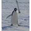 Animalitos 😆 17