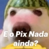 CADÊ MEU PIX? 💰 12