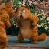 Garfield 13