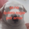 Memes con texto 6 🏝️👀 10