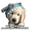 @ballolet888 Me persiguen las puercas ganas de verte bb