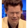Harry styles memes 29