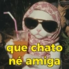 Chill cat 😽 11