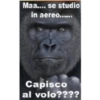 Maa.... se studio in aereo...... Capisco al volo????