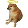 Perro meme Cheems 👋🏻😎 6