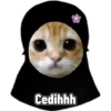 Cedihhh