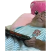 Animalitos 😆 11