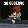 SÓ OBSERVO