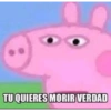 Animales random  7