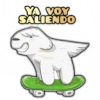 🐶Perrito Blanco|Facebook🐶 11