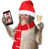 Memes Navideños V1 22