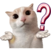Kitties 12