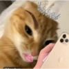 8
